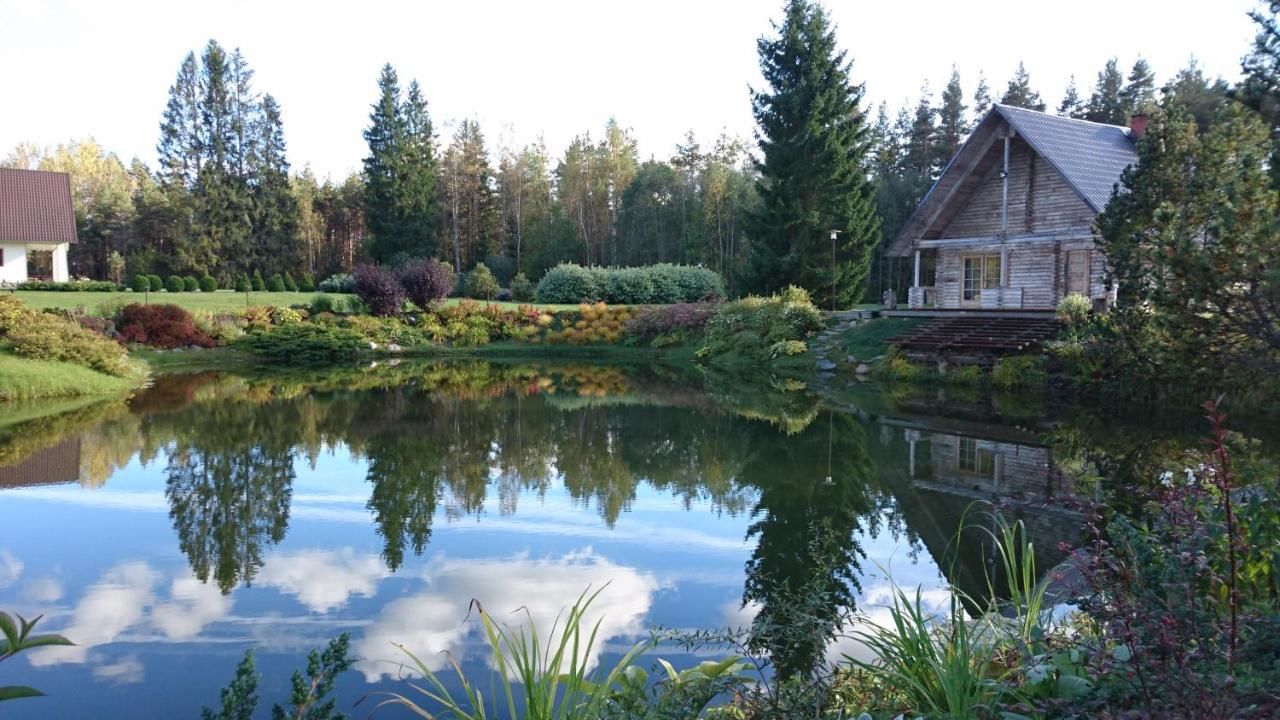 Комплексы для отдыха с коттеджами/бунгало Kõrveküla Holiday Centre Kõrveküla-4